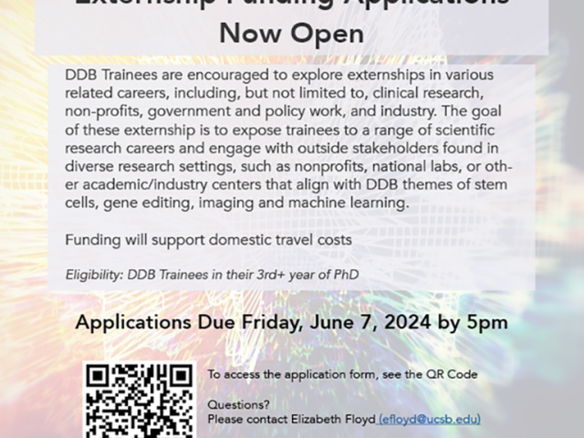 DDB Externship Funding Application Flier
