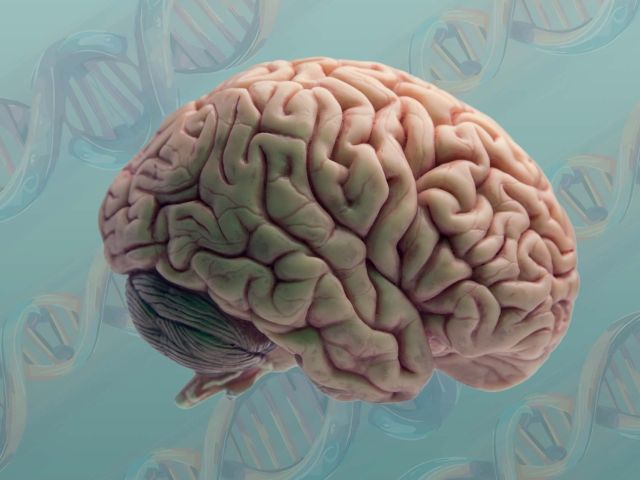A brain with a background of DNA