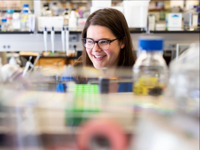 Professor Meghan Morrissey in the lab